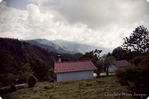 mexico, travel photography, mountain view, chocolate moose images