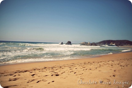 mexico, travel photography, at the beach, chocolate moose images