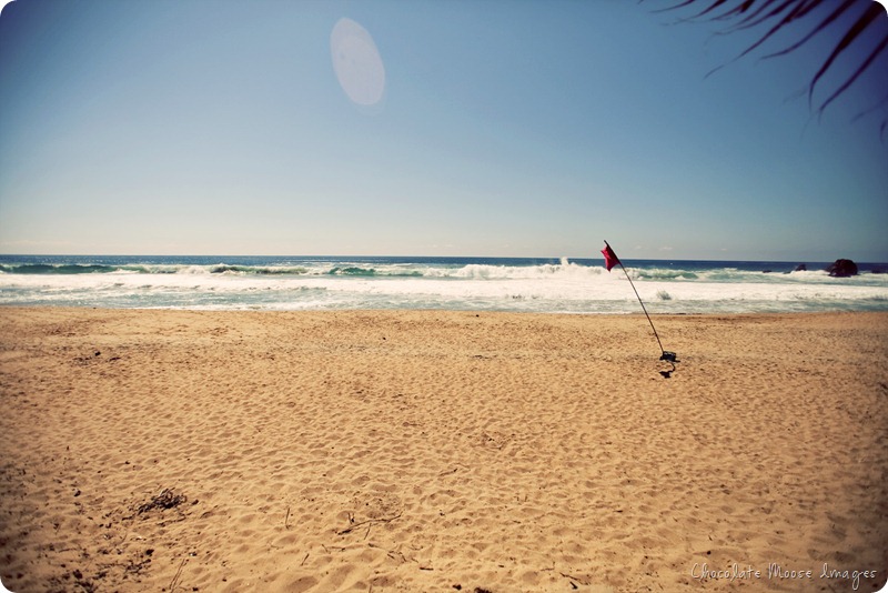 mexico, travel photography, at the beach, chocolate moose images