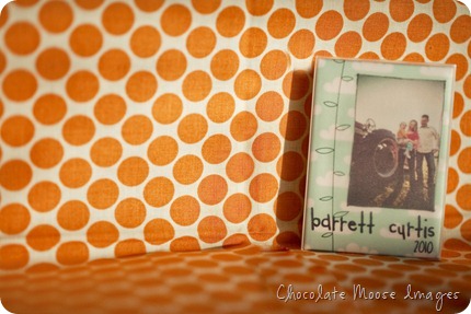 chocolate moose images, pet portrait photographer, minneapolis pets, mini album