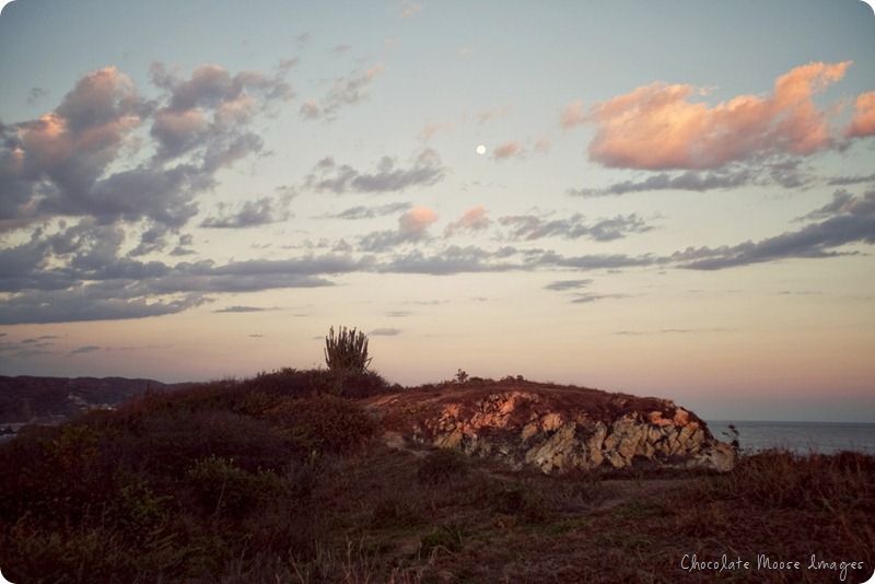 mexico, travel photography, chocolate moose images