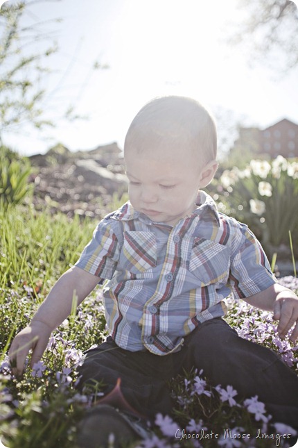 chocolate moose images, st. paul portrait photographer, one year old photos, first birthday pictures, family portraits