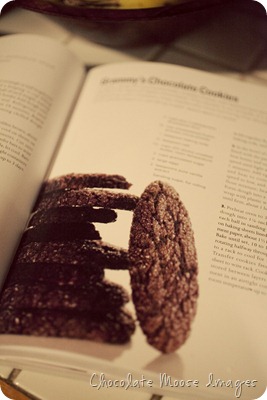 chocolate moose images, cookies, baking, minneapolis, pet portrait photographer