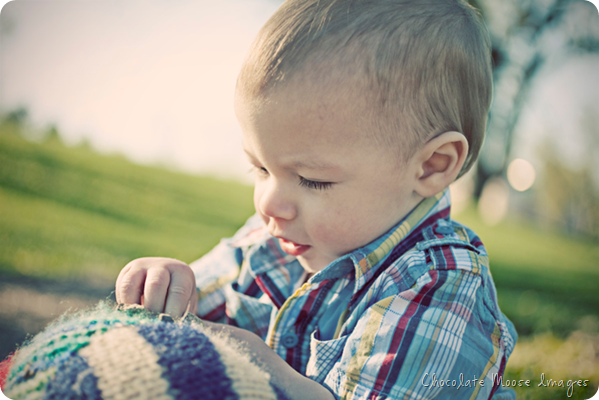 st. paul portrait photographer, kid portraits, 1st birthday photos, family photos, chocolate moose images