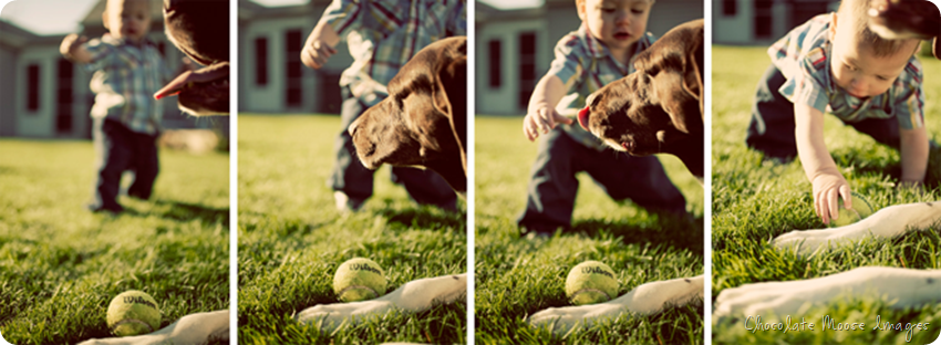 st. paul portrait photographer, kid portraits, 1st birthday photos, family photos, chocolate moose images