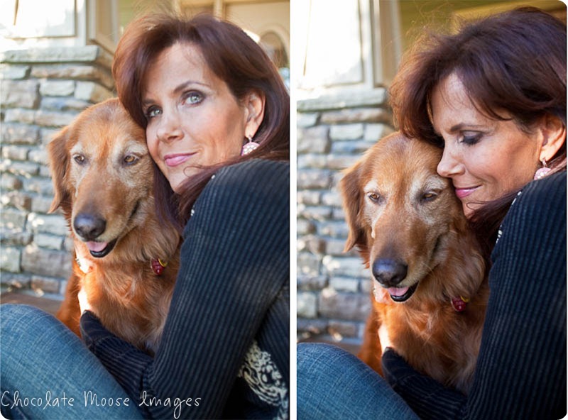 shelby, golden retriever, chocolate moose images, minneapoli pet portrait photographer, dog photography, family photos