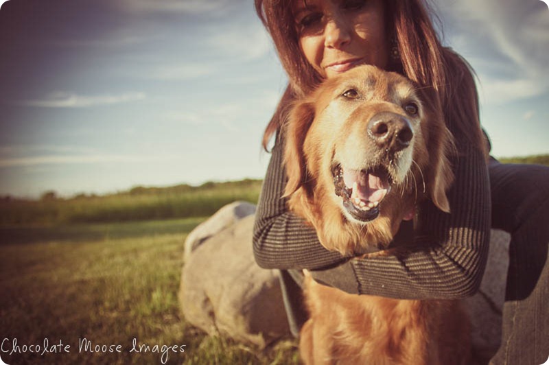 shelby, golden retriever, chocolate moose images, minneapoli pet portrait photographer, dog photography, family photos