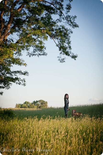 shelby, golden retriever, chocolate moose images, minneapoli pet portrait photographer, dog photography, family photos