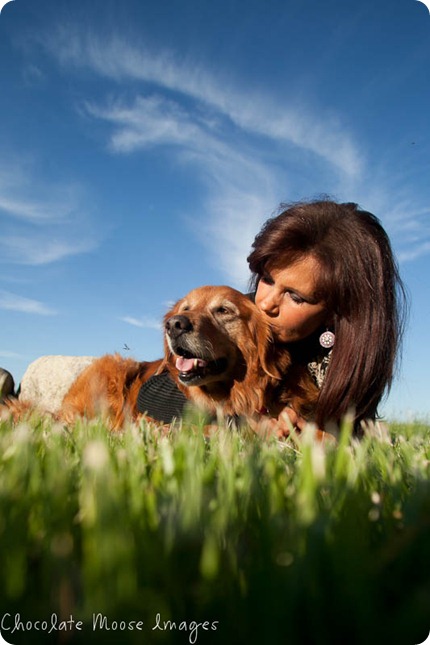 shelby, golden retriever, chocolate moose images, minneapoli pet portrait photographer, dog photography, family photos