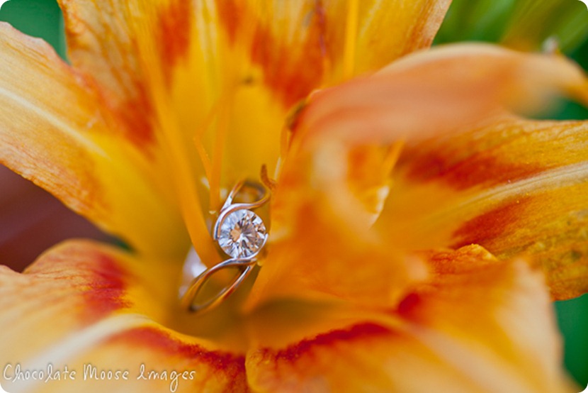 chocolate moose images, minneapolis portrait photographers, flowers, engagement ring photos, flower ring