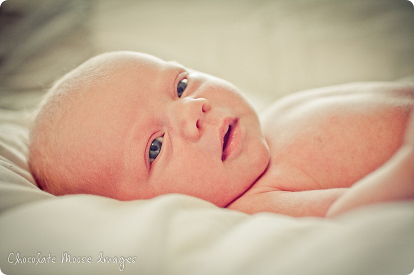 chocolate moose images, omaha baby photographer, minneapolis pet photographer, babies, families, iowa, baby hat, baby portraits