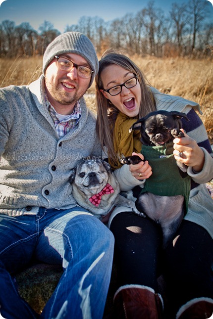 chocolate moose images, pet portaits, dog portaits, pugs, wisconsin pet photography, minneapolis pet photographer, 