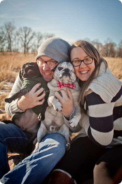 chocolate moose images, pet portaits, dog portaits, pugs, wisconsin pet photography, minneapolis pet photographer, 