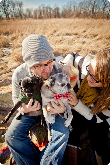 chocolate moose images, pet portaits, dog portaits, pugs, wisconsin pet photography, minneapolis pet photographer, 