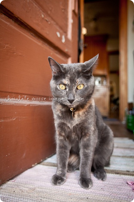 Tarrazu enjoys some of the first warm weather of Minneapolis' early spring