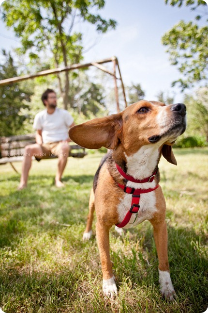 The newest member of the fam, Memphis, takes a trip to the cabin and has dog photos taken with chocolate moose images