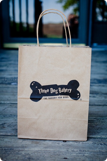 Pet treats from Three Dog Bakery in Omaha are loved by the pups of Chocolate Moose Images 