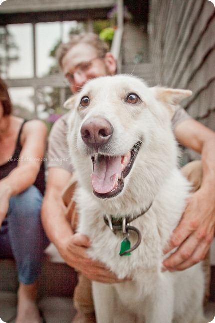 Cole, a german shepard mix, works for treats on an incredibly hot, summer day in Minnesota