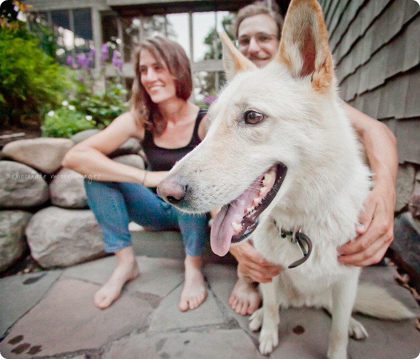 Cole, a german shepard mix, works for treats on an incredibly hot, summer day in Minnesota