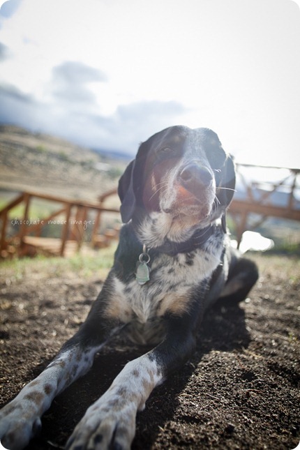 Wyatt in the mountains of Montana with Chocolate Moose Images and of course, Badger Creek Rustic Furniture