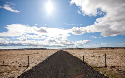 i LOVE sunshine :: minneapolis pet and travel photographer