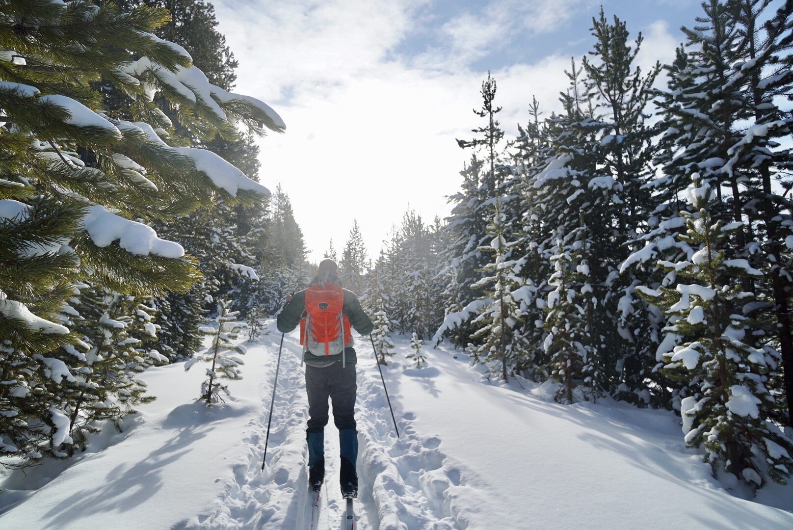 Winter at 5300′